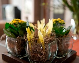 Guest house 522004 - Holiday property Twente - Huisje in Rossum