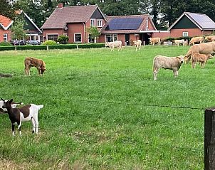 Guest house 522007 - Holiday property Twente - Huisje in Rossum