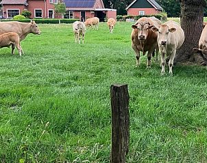 Guest house 522007 - Holiday property Twente - Huisje in Rossum