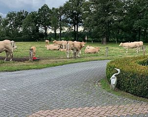 Guest house 522007 - Holiday property Twente - Huisje in Rossum