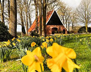 Guest house 522012 - Holiday property Twente - Huisje in Rossum