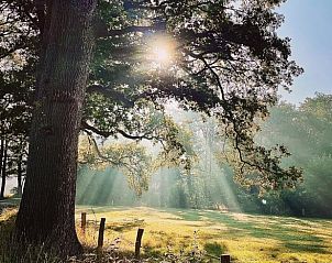 Guest house 522012 - Holiday property Twente - Huisje in Rossum