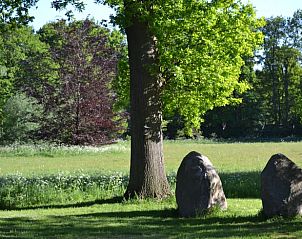 Schaduwrijke tuin met bomen en stenen bij vakantiehuisje Hengelo, Twente, een serene plek in Overijssel.