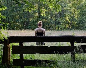 Rustige natuur rondom Huisje in Haaksbergen, ideaal voor ontspanning in Twente.