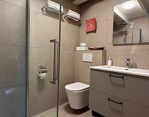 Stijlvolle badkamer in Huisje in Haaksbergen, vakantiehuis in Twente, Overijssel.