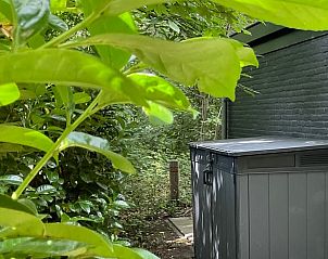 Groene omgeving bij Huisje in Haaksbergen, vakantiehuis in Twente, Overijssel.