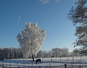 Guest house 522414 - Holiday property Twente - Huisje in Haaksbergen