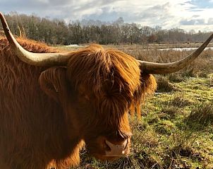 Guest house 522414 - Holiday property Twente - Huisje in Haaksbergen