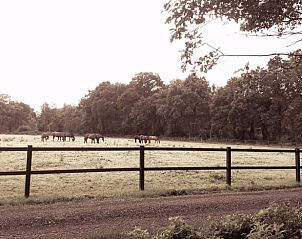 Guest house 522414 - Holiday property Twente - Huisje in Haaksbergen