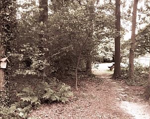 Guest house 522414 - Holiday property Twente - Huisje in Haaksbergen