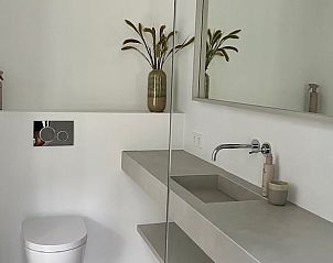 Moderne badkamer in Huisje in Haaksbergen, Twente, met strakke wastafel en stijlvolle decoratie.