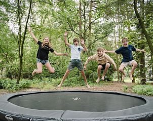 Kinderen spelen op trampoline in de tuin van Huisje in Haaksbergen, vakantiehuis in Twente, omgeven door groen.
