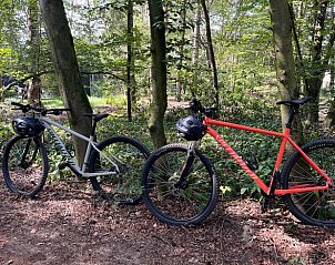 Fietsen in de natuur rondom Huisje in Haaksbergen, vakantieaccommodatie in Twente, ideaal voor actieve vakanties.