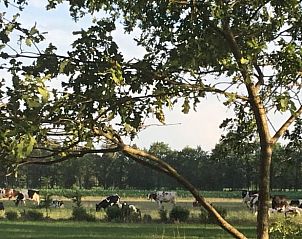 Guest house 522426 - Holiday property Twente - Huisje in Haaksbergen