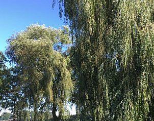 Guest house 522426 - Holiday property Twente - Huisje in Haaksbergen