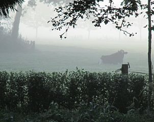 Guest house 522426 - Holiday property Twente - Huisje in Haaksbergen