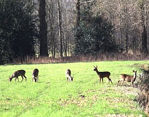 Guest house 522427 - Holiday property Twente - Vakantiehuis in Haaksbergen