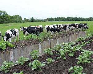 Guest house 522427 - Holiday property Twente - Vakantiehuis in Haaksbergen