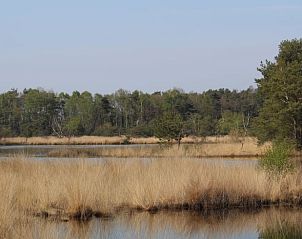 Guest house 522427 - Holiday property Twente - Vakantiehuis in Haaksbergen