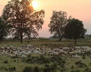 Guest house 522427 - Holiday property Twente - Vakantiehuis in Haaksbergen