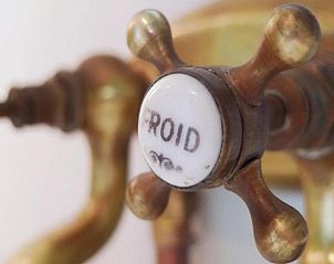 Verblijf 522430 - Vakantiewoning Twente - Design Lodge Twente