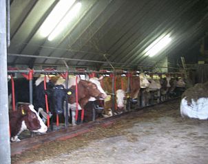 Guest house 522502 - Chalet Twente - Boerderijcamping De Wezel