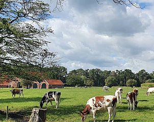 Guest house 522505 - Holiday property Twente - Huisje in Diepenheim