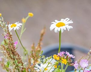 Guest house 522510 - Holiday property Twente - Huisje in Diepenheim