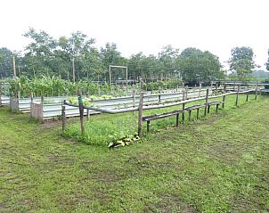 Verblijf 522511 - Vakantiewoning Twente - Huisje in Diepenheim