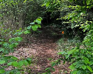 Guest house 522512 - Holiday property Twente - Vakantiehuis in Diepenheim