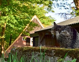 Guest house 522513 - Holiday property Twente - Vakantiehuisje in Diepenheim