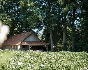 Huisje in Diepenheim, een charmant vakantiehuis omringd door weelderige natuur in het pittoreske Twente, Overijssel.