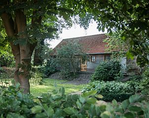 Charmant vakantiehuis, Huisje in Diepenheim, omgeven door weelderige natuur in Twente, Overijssel, perfect voor een rustgevende ontsnapping.