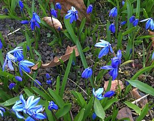 Guest house 522518 - Holiday property Twente - Vakantiehuisje in Diepenheim