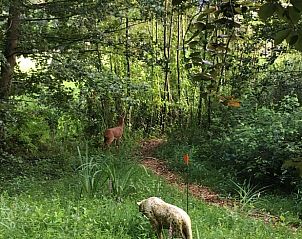 Guest house 522518 - Holiday property Twente - Vakantiehuisje in Diepenheim