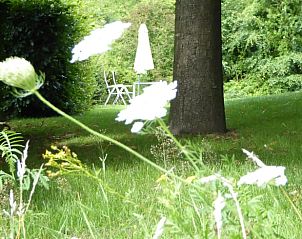 Guest house 522518 - Holiday property Twente - Vakantiehuisje in Diepenheim