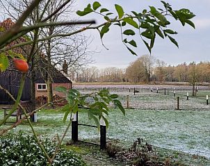 Guest house 522520 - Holiday property Twente - Huisje in Diepenheim