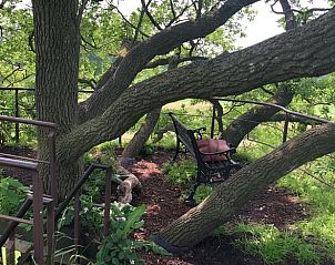 Guest house 522529 - Holiday property Twente - Huisje in Diepenheim