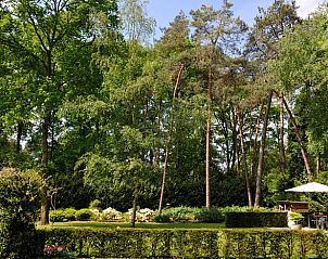 Rustgevende tuin bij Huisje in Enschede, vakantieaccommodatie in Twente, met prachtige groene uitzichten.