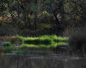 Verblijf 522617 - Vakantiewoning Twente - Huisje in Enschede