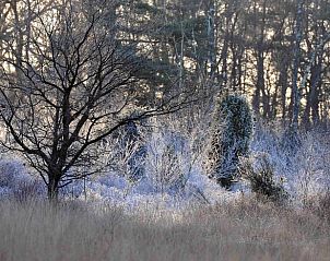 Verblijf 522617 - Vakantiewoning Twente - Huisje in Enschede