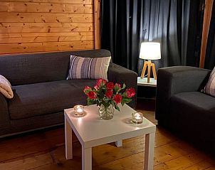 Gezellige woonkamer van Vakantiehuis in Enschede, met comfortabele banken in Twente, Overijssel.