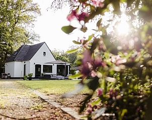 Zonnige tuin bij Huisje in Enschede, vakantieaccommodatie in Twente, ideaal voor ontspanning in Overijssel.