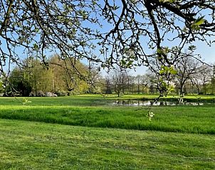 Groene weide rondom Vakantiehuis in Enschede, Twente, met serene vijver in Overijssel.