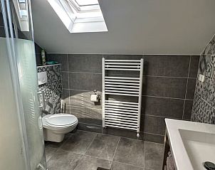 Badkamer met dakraam in Vakantiehuisje in Enschede, licht en modern.