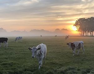 Prachtige ochtendmist over de velden bij Vakantiehuisje in Enschede, Twente.
