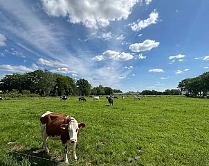 Groene weilanden rondom Vakantiehuisje in Enschede, perfect voor natuurliefhebbers.