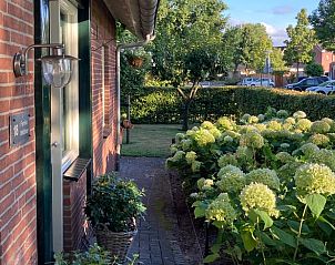Gezellige zijtuin van Vakantiehuis in Oldenzaal, Twente, met bloeiende hortensia's en een uitnodigend pad.