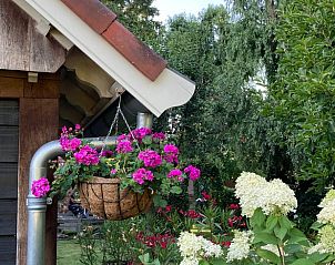 Hangende bloemenmanden en kleurrijke bloemen bij Vakantiehuis in Oldenzaal, een rustiek verblijf in Twente.