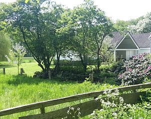 Groene omgeving van Huisje in Oldenzaal, vakantiehuis in Twente, perfect voor natuurliefhebbers.